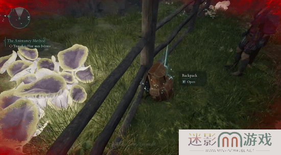 本站