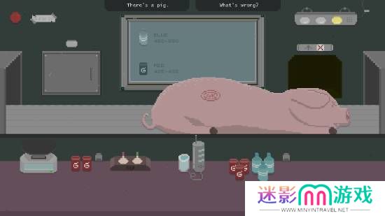 本站
